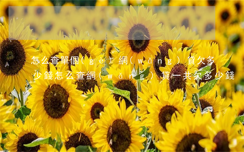 怎么查單個(gè)網(wǎng)貸欠多少錢(怎么查網(wǎng)貸一共欠多少錢)