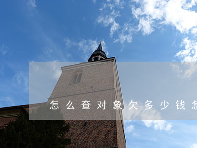怎么查对象欠多少钱（怎么查询对象欠信用卡）