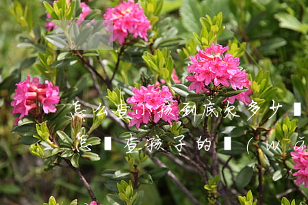 怎么查小孩到底欠多少網(wǎng)貸錢(怎樣查孩子的網(wǎng)貸)