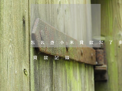 怎么查小米貸款欠了多少年(小米貸款查不到貸款記錄)