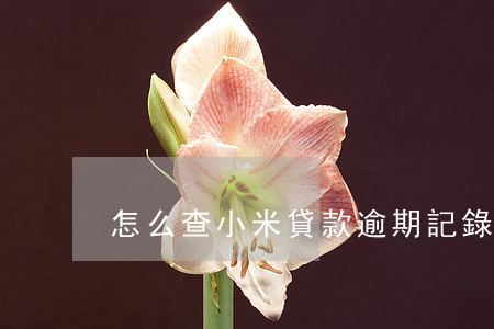 怎么查小米貸款逾期記錄