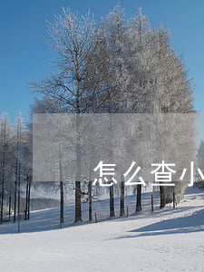 怎么查小額貸逾期情況 貸款逾期怎么查詢