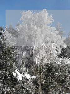 怎么查工商信用卡有没有逾期-怎么看信用卡有没逾期