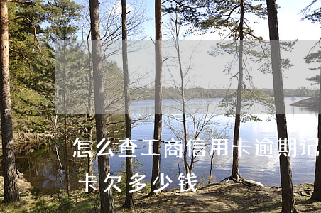 怎么查工商信用卡逾期记录 工行怎么查信用卡欠多少钱