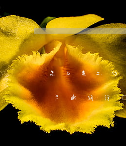 怎么查工行信用卡逾期記錄查詢(怎么查信用卡逾期情況)