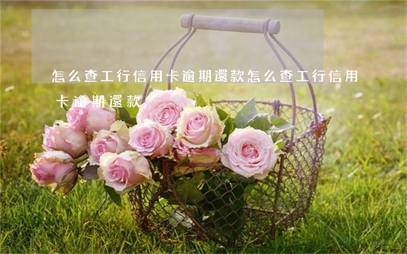 怎么查工行信用卡逾期還款(怎么查工行信用卡逾期還款)
