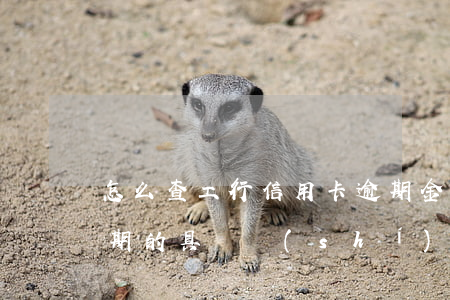怎么查工行信用卡逾期金額(怎么查信用卡逾期的具體時(shí)間)