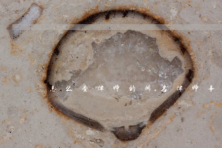 怎么查律师的排名(律师事务所排名)