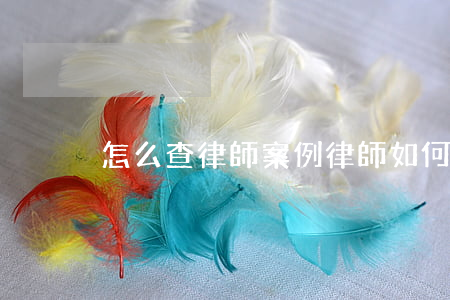怎么查律師案例(律師如何檢索案例)