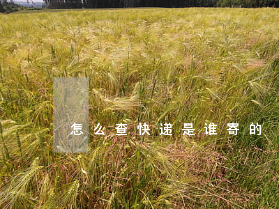怎么查快递是谁寄的