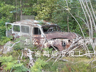 怎么查我信用卡逾期上沒上征信(怎么查看自己逾期后上沒上征信)