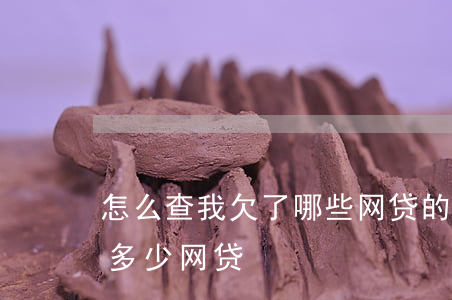 怎么查我欠了哪些网贷的钱(怎样查自己欠了多少网贷)