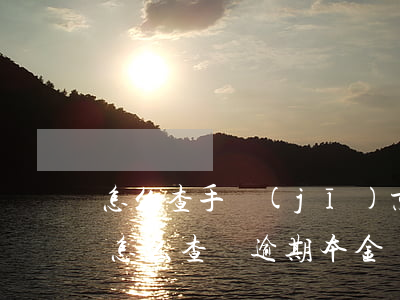 怎么查手機(jī)京東金條逾期(京東白條怎么查詢逾期本金)