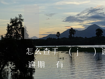 怎么查手機(jī)逾期還完沒(怎么查自己逾期沒有)