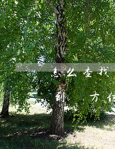怎么查找對方的律師(怎么樣委托律師才能查到對方信息)
