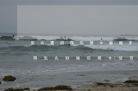 怎么查招商信用卡逾期手续费到底有多少（招商怎么知道信用卡是否逾期）