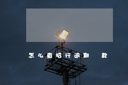 怎么查招行逾期還款記錄