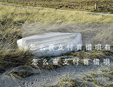 怎么查支付寶借唄有沒(méi)有逾期-怎么查支付寶借唄有沒(méi)有逾期記錄