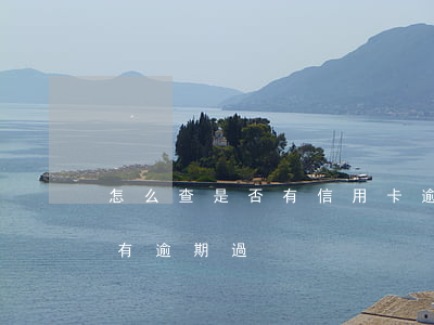 怎么查是否有信用卡逾期(怎么查信用卡有沒有逾期過)