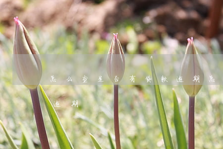怎么查是否有贷款逾期(怎么查询贷款有没有逾期)