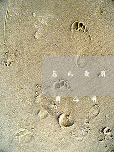 怎么查有沒(méi)有逾期的貸款(怎樣查自己有沒(méi)有逾期)
