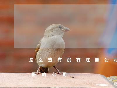 怎么查有沒有注冊公司(如何查名下是否有注冊的公司)