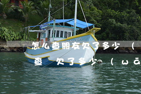 怎么查朋友欠了多少網(wǎng)貸(如何查詢欠了多少網(wǎng)貸)