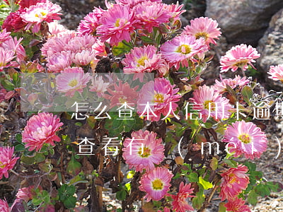 怎么查本人信用卡逾期沒(méi)有 怎么查看有沒(méi)有信用卡逾期