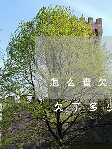 怎么查欠了多少網(wǎng)貸(如何查詢欠了多少網(wǎng)貸)