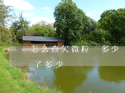 怎么查欠微粒貸多少錢(怎么看微粒貸一共欠了多少錢)