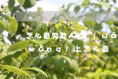 怎么查欠款人的網(wǎng)上欠款(網(wǎng)上怎么查詢自己的欠款)