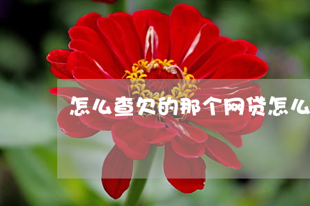 怎么查欠的那个网贷(怎么查询自己欠的网贷)