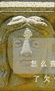 怎么查欠網(wǎng)貸信用卡錢被起訴了(欠信用卡錢怎樣才知道自己是不是起訴了)