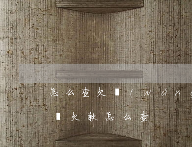 怎么查欠網(wǎng)貸(網(wǎng)貸欠款怎么查)