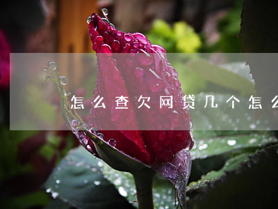 怎么查欠网贷几个(怎么能查出欠了多少网贷)