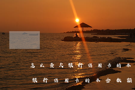 怎么查欠银行信用卡的本金数额-怎么查欠银行信用卡的本金数额多少