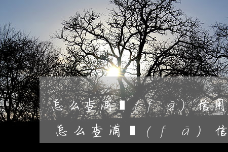 怎么查浦發(fā)信用卡有無逾期記錄-怎么查浦發(fā)信用卡有無逾期記錄