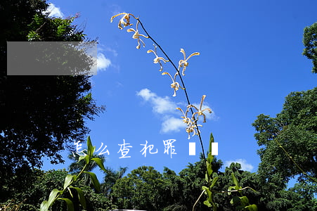 怎么查犯罪記錄