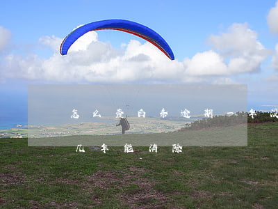怎么查白条逾期一年没有逾期(白条逾期记录几年能消除)