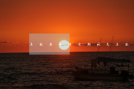 怎么查白条逾期利息(怎么查白条逾期利息)