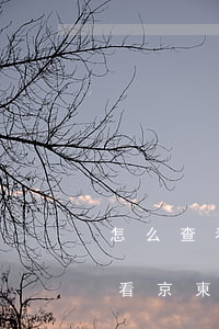怎么查看京東白條逾期是否上征信-怎么查看京東白條逾期是否上征信記錄
