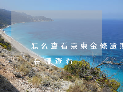 怎么查看京東金條逾期記錄-金條逾期記錄在哪查看