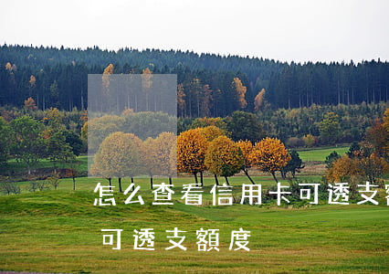 怎么查看信用卡可透支額度(怎么查看信用卡可透支額度)