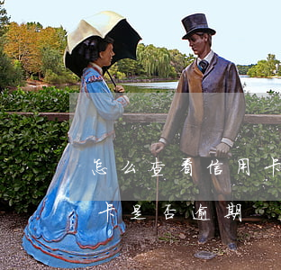 怎么查看信用卡是否逾期過(怎么看自己信用卡是否逾期)