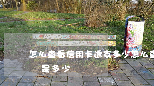 怎么查看信用卡透支多少(怎么查信用卡里的錢是多少)