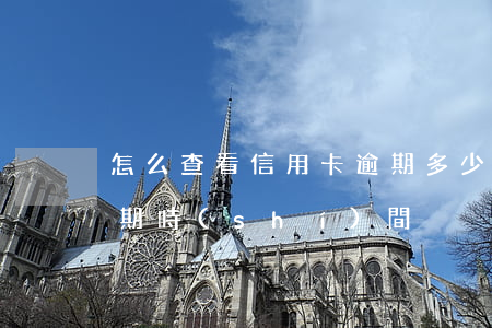 怎么查看信用卡逾期多少天(如何查信用卡逾期時(shí)間)