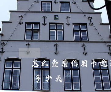 怎么查看信用卡逾期時間(怎么查信用卡逾期多少天)