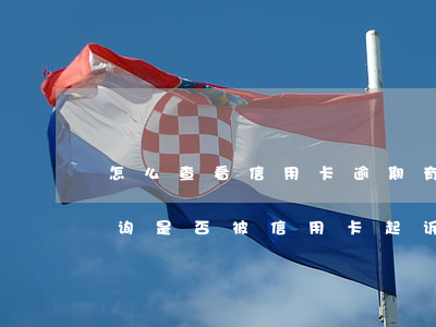怎么查看信用卡逾期有没有被起诉-如何查询是否被信用卡起诉
