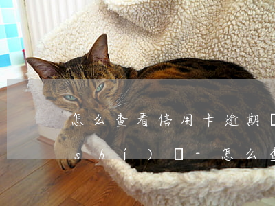 怎么查看信用卡逾期記錄發(fā)生時(shí)間-怎么查看信用卡逾期記錄發(fā)生時(shí)間和地點(diǎn)