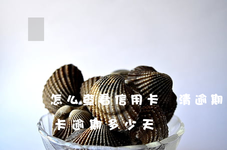 怎么查看信用卡還清逾期之日-怎么查信用卡逾期多少天
